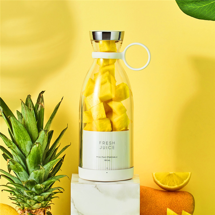 BlendGo 380 Portable USB Juice Blender